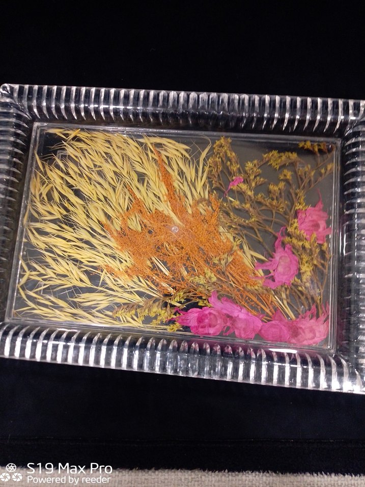 Renkli Kurutulmuş Çiçek Tırnak Süsleri - Görsel 2