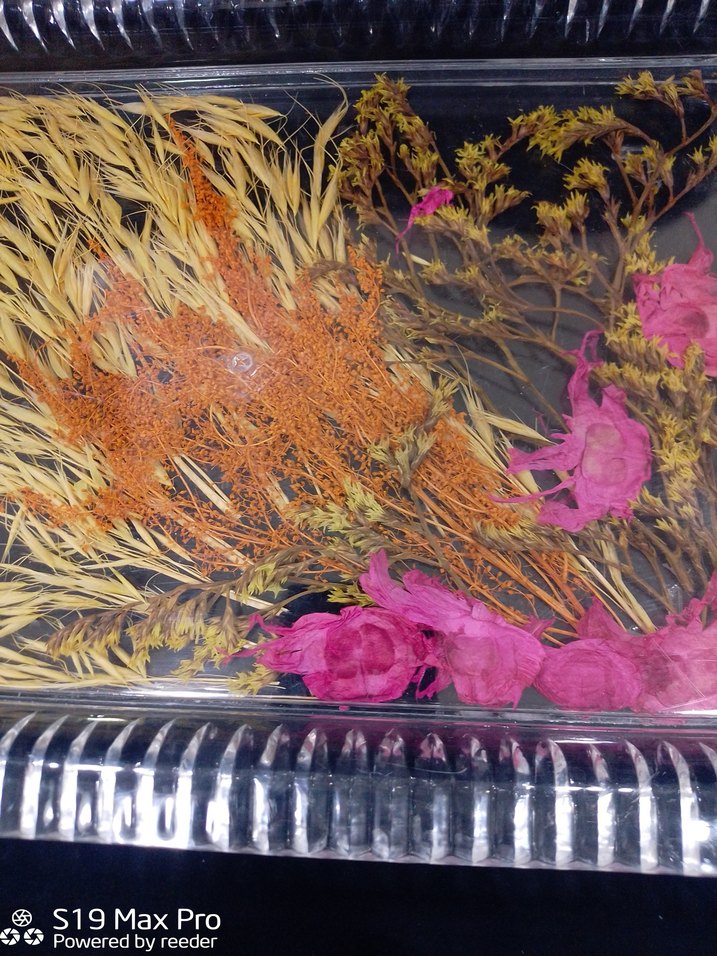 Renkli Kurutulmuş Çiçek Tırnak Süsleri - Görsel 4