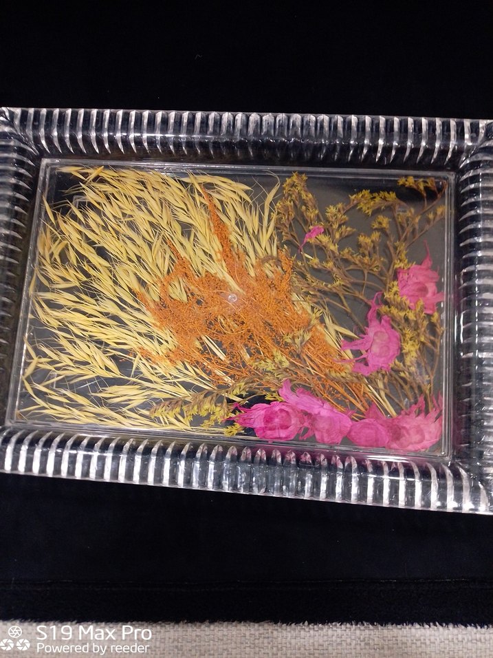 Renkli Kurutulmuş Çiçek Tırnak Süsleri - Görsel 3