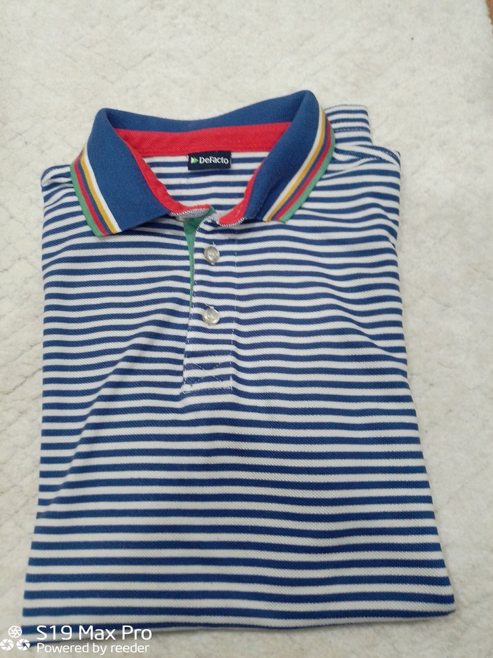 Çizgili Çok Renkli Kısa Kollu Polo Tişört - Görsel 4