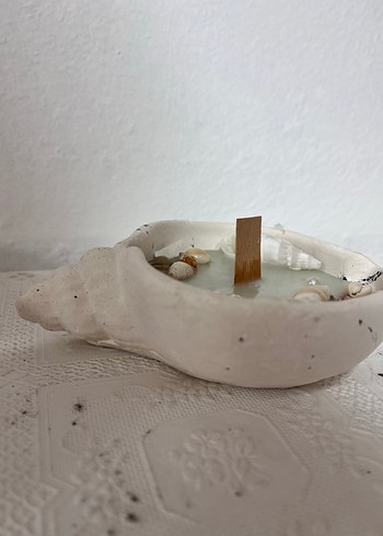 Deniz kabuklu beyaz mum - Görsel 6