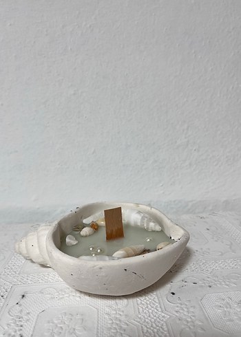 Deniz kabuklu beyaz mum - Görsel 11