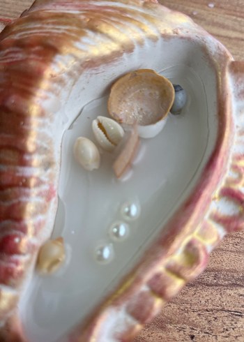 Deniz kabuğu şeklinde mum - Görsel 6