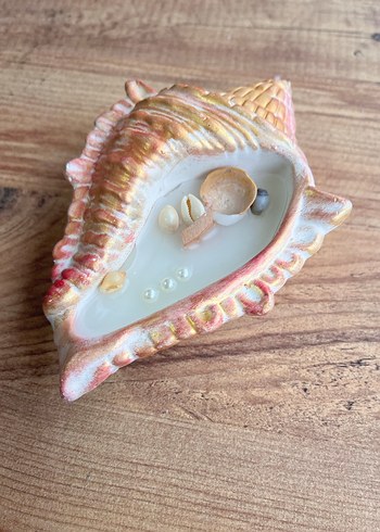 Deniz kabuğu şeklinde mum - Görsel 5