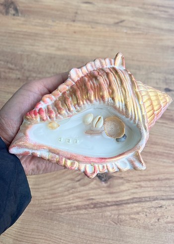 Deniz kabuğu şeklinde mum - Görsel 4