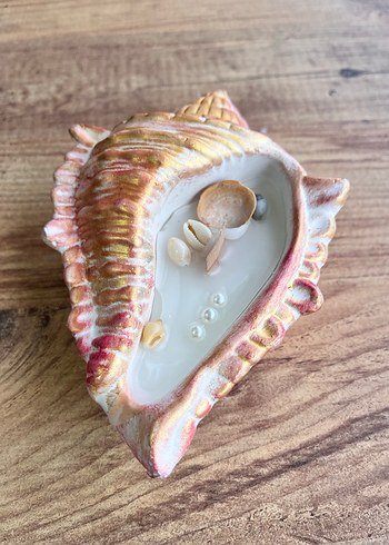 Deniz kabuğu şeklinde mum - Görsel 2