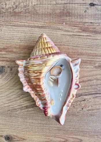 Deniz kabuğu şeklinde mum - Görsel 3