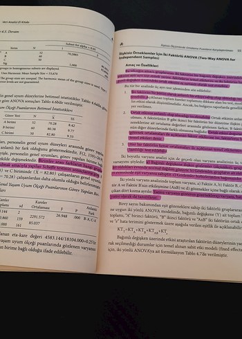 Sosyal Bilimler için Veri Analizi El Kitabı - Görsel 2