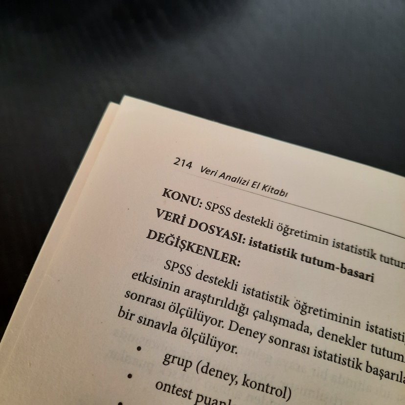 Sosyal Bilimler için Veri Analizi El Kitabı - Görsel 3