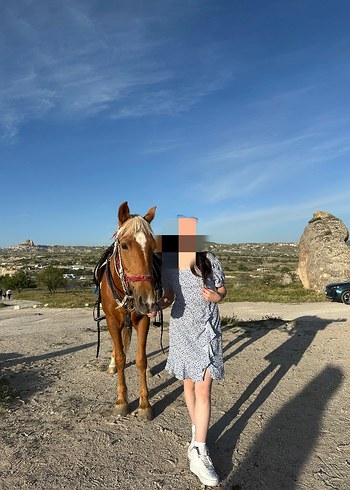 Bohem Midi Leopar Desenli Kadın Elbise - Görsel 2