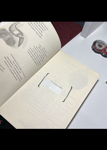 Gianni Rodari - Masal İçinde Masal - Görsel 2