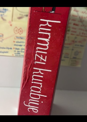 Zeynep Bahra'dan Ayçöreği ve Elmalı Turta Romanları - Görsel 3