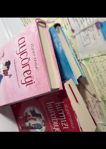 Zeynep Bahra'dan Ayçöreği ve Elmalı Turta Romanları - Görsel 2