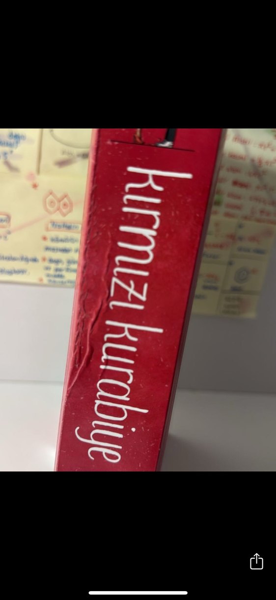 Zeynep Bahra'dan Ayçöreği ve Elmalı Turta Romanları - Görsel 3