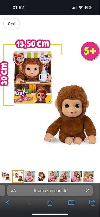 Little live pets