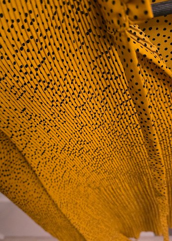 Piliseli Uzun Kollu Kadın Gömlek - Görsel 4