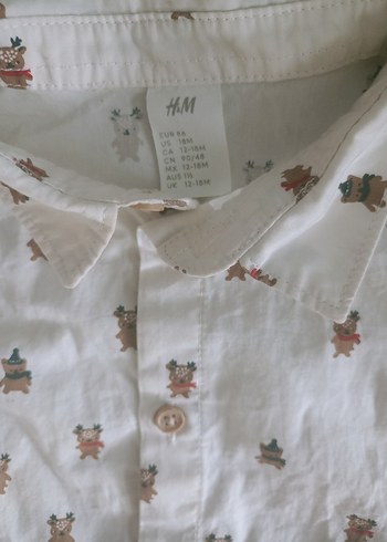 Erkek çocuğu ayıcıklı gömlek - Görsel 2