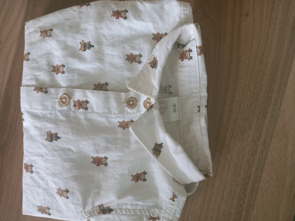 Erkek çocuğu ayıcıklı gömlek - Görsel 3