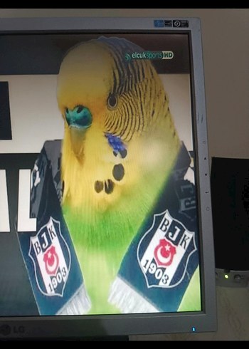 LG Gri Monitör - Görsel 5