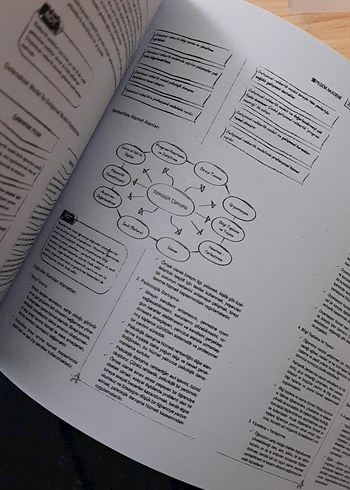 Eğitim Bilimleri pegem - Görsel 16