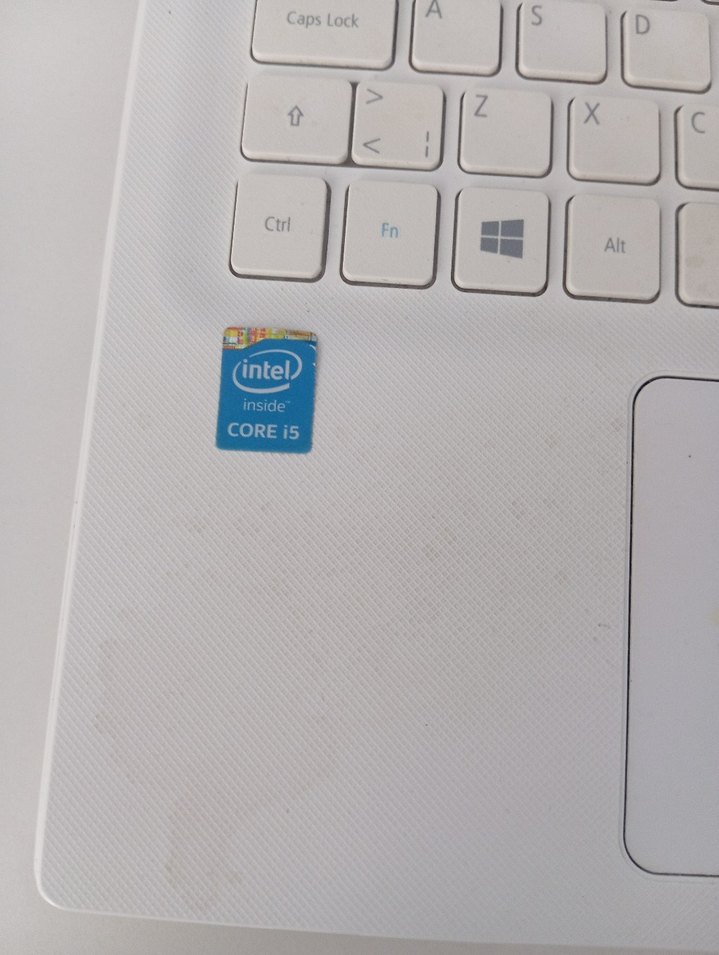 Acer dizustu - Görsel 2