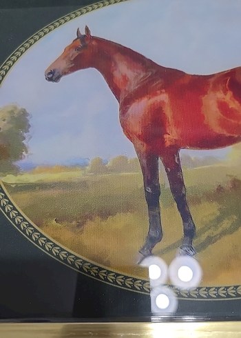 Kahverengi At Temalı Klasik Tepsi - Görsel 3