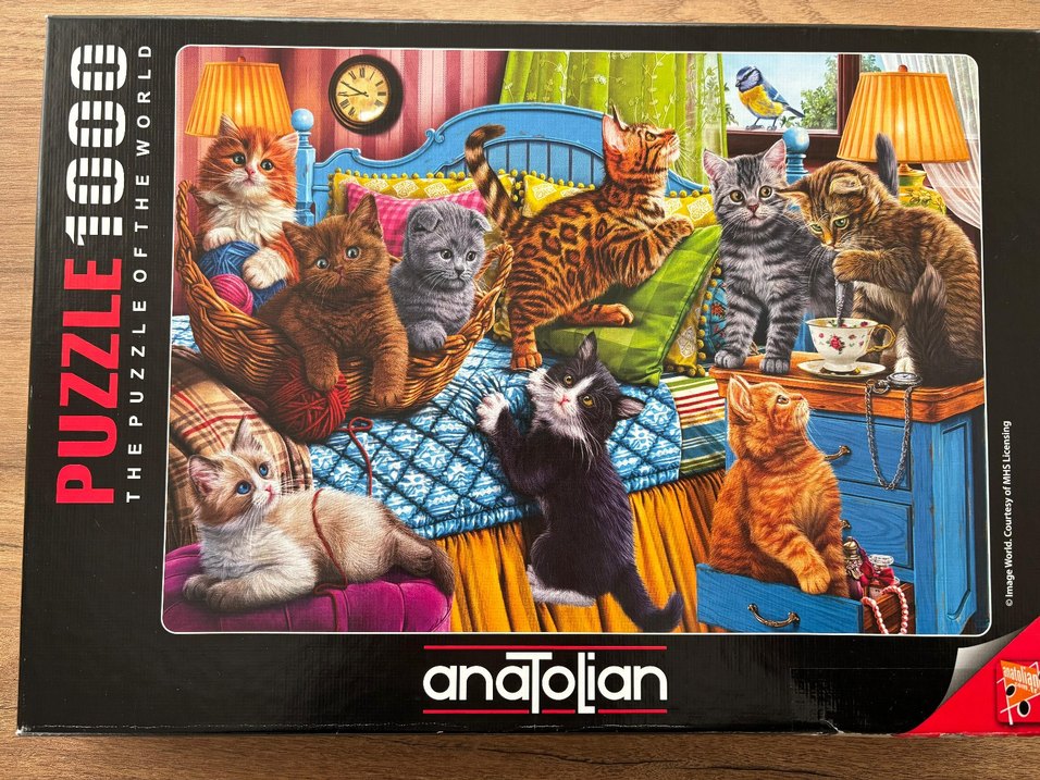Anatolian Kedi Temalı 1000 Parça Puzzle - Görsel 2