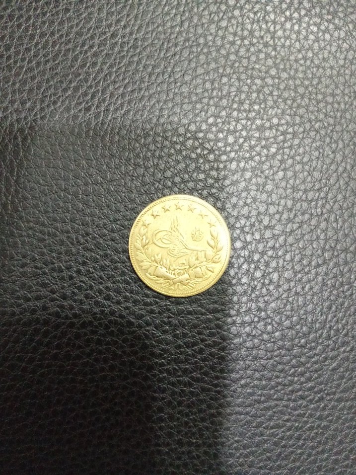 koleksiyonluk sikke - Görsel 2