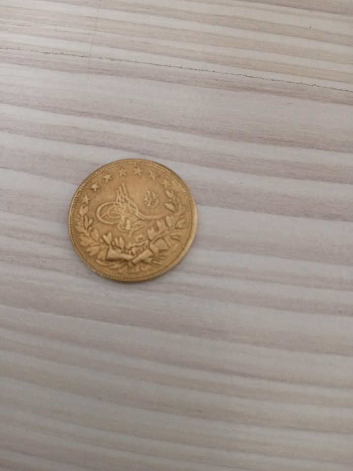 koleksiyonluk sikke - Görsel 3