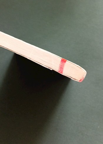 Dünya'nın Merkezine Yolculuk - Jules Verne - Görsel 3