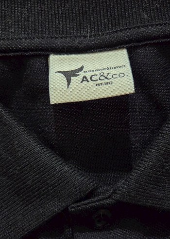 Siyah Erkek Polo Tişört, Kısa Kollu, Regular Fit - Görsel 2