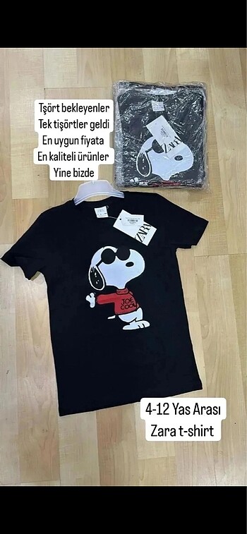 Zara Zara tişört