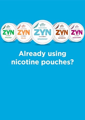 ZYN Aromalı Sakız Balmı - Görsel 2