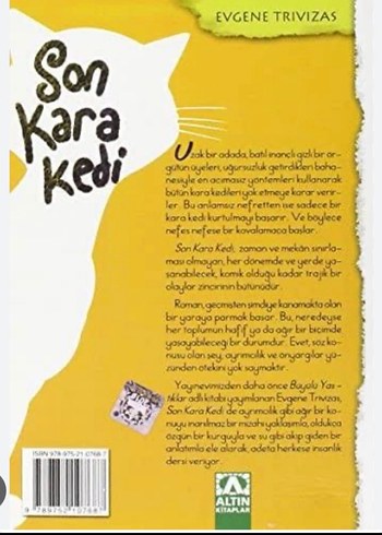 Son Kara Kedi okuma kitabı - Görsel 2