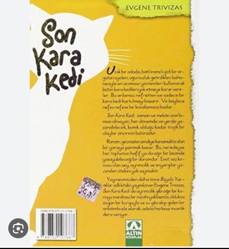 Son Kara Kedi okuma kitabı - Görsel 2