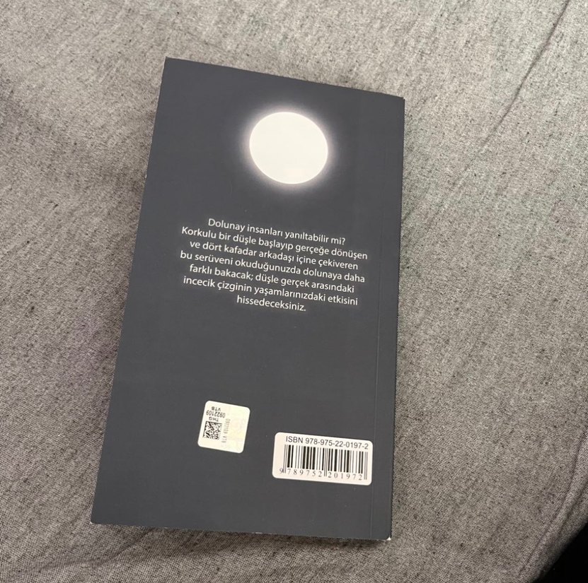 Dolunay Dedektifleri İz Peşinde - Maviselyener - Görsel 2