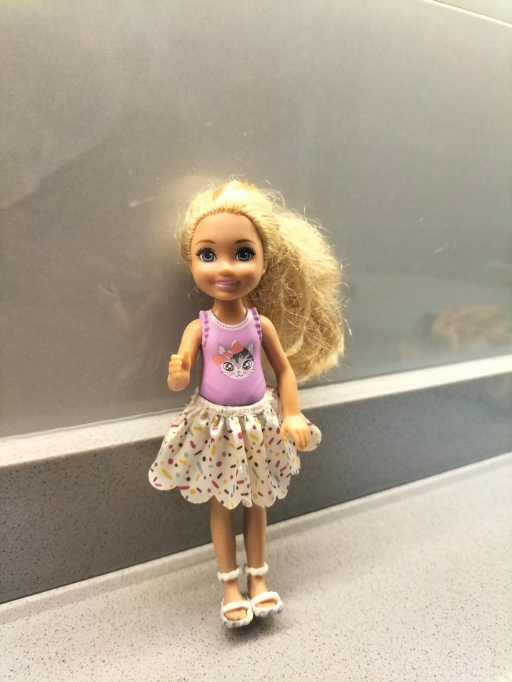 Orijinal Barbie Chelsea Doll - Görsel 3