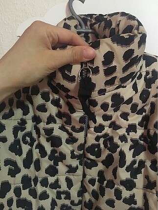 Leopar desenli mont