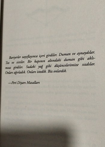 Peri Avcısı - Sarah K. L. Wilson - Görsel 2