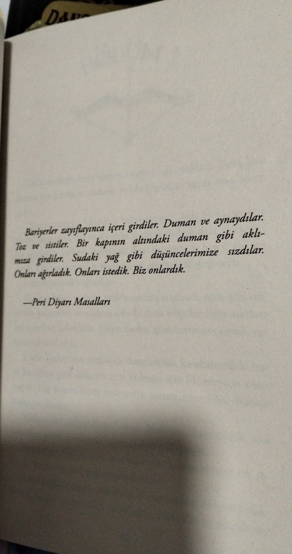 Peri Avcısı - Sarah K. L. Wilson - Görsel 2