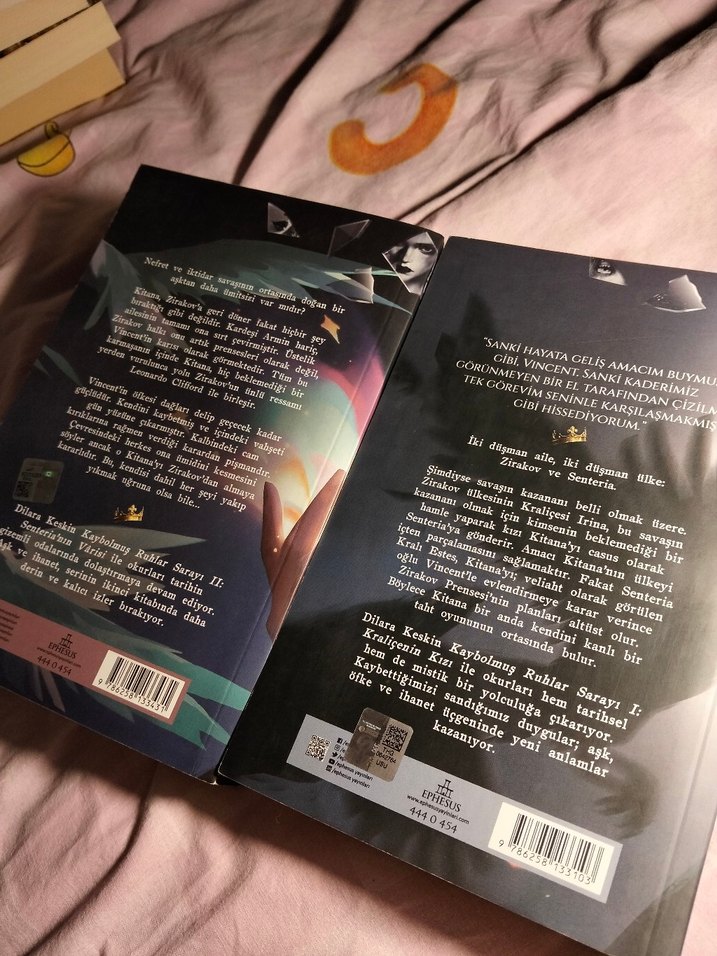 Kaybolmuş Ruhlar Sarayı 1-2 - Görsel 3