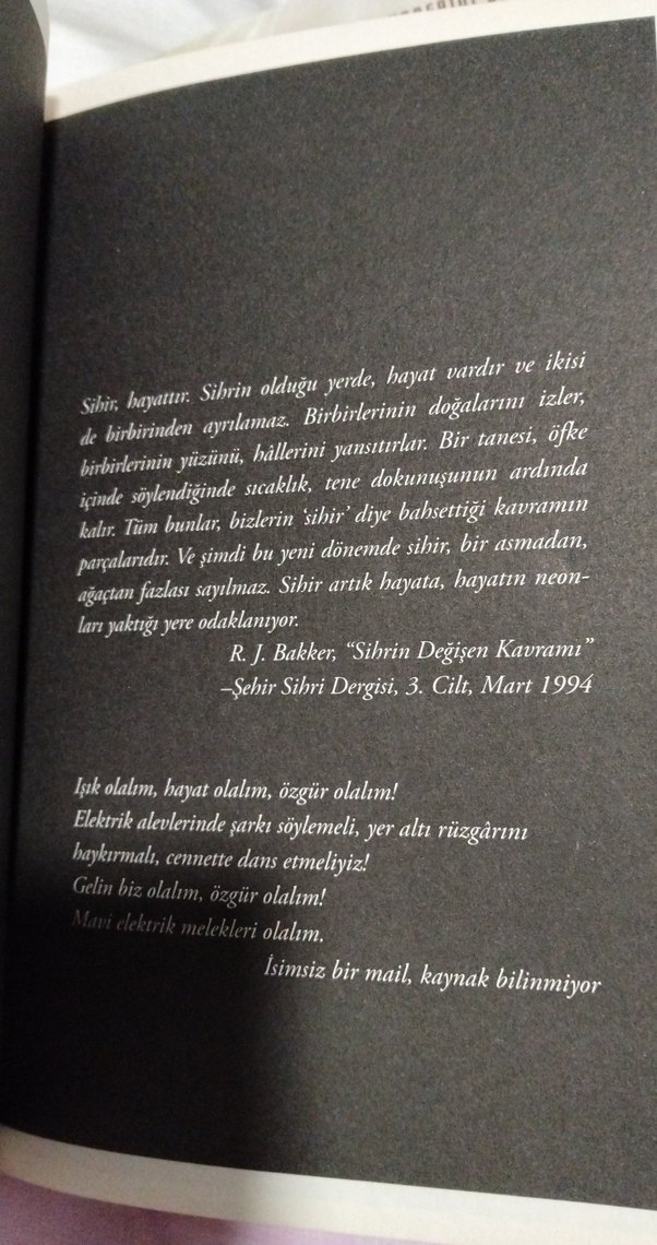 Meleklerin Çılgınlığı - Kate Griffin - Görsel 2