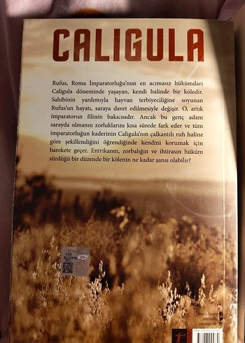 Caligula - Douglas Jackson - Görsel 3
