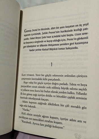 Robin Jarvis - Dans Eden Valeler - Görsel 3