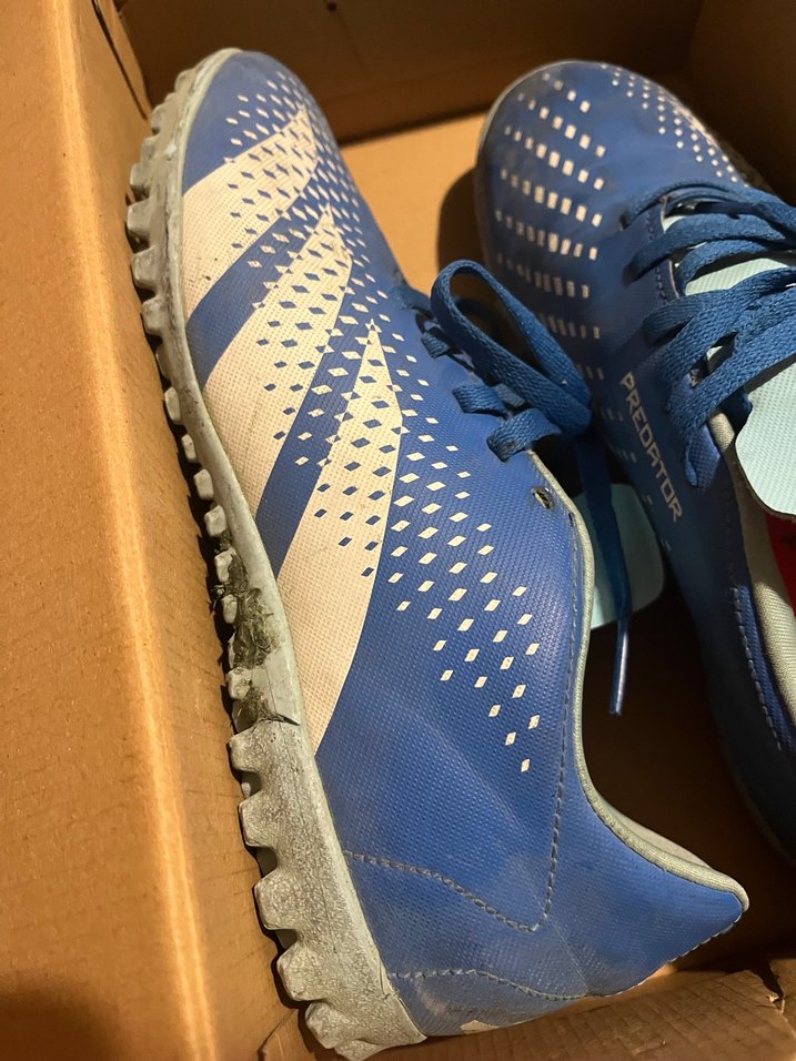 Adidas Predator Bağcıklı Halı Saha Ayakkabası Mavi Yeşil - Görsel 5