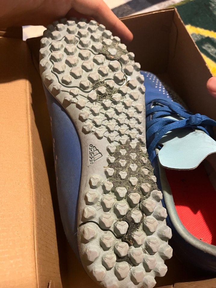 Adidas Predator Bağcıklı Halı Saha Ayakkabası Mavi Yeşil - Görsel 3