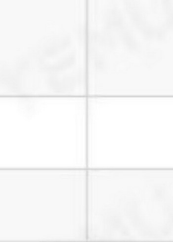 Köpek yağmurluk - Görsel 2