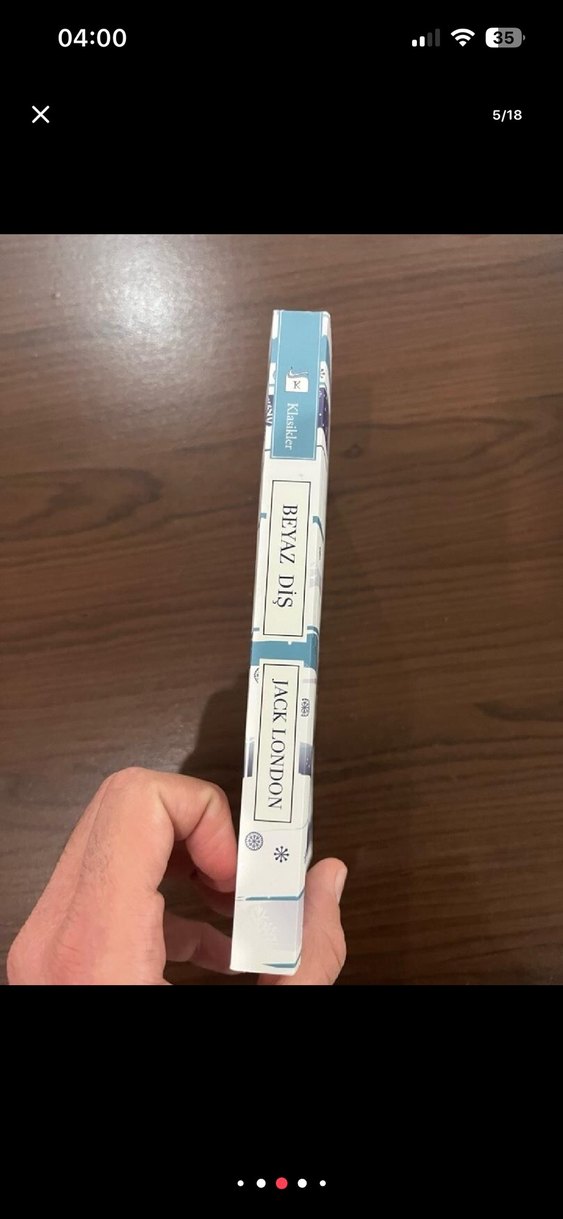 Beyaz Diş - Jack London - Görsel 2