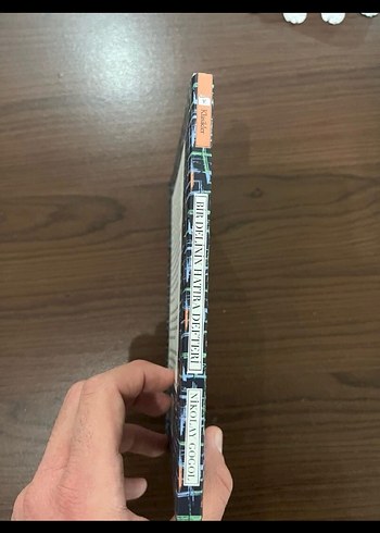 Bir Delinin Hatıra Defteri - Nikolay Gogol - Görsel 2