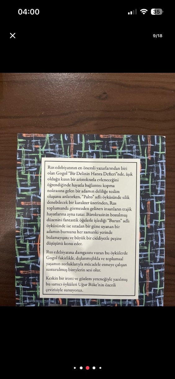 Bir Delinin Hatıra Defteri - Nikolay Gogol - Görsel 3